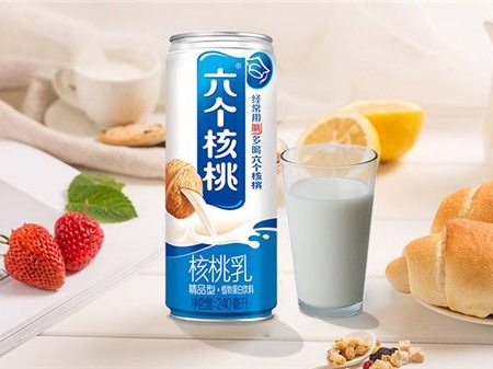 養元六個核桃案例